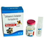 Ceftriaxone & Tazobactam For Injection Vet