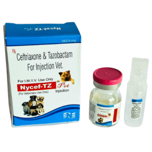 Ceftriaxone & Tazobactam For Injection Vet