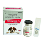 Nemoxy-Forte Pet Injection (Amoxycillin & Sulbactam for Injection)